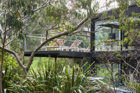 The Shed, Lorne